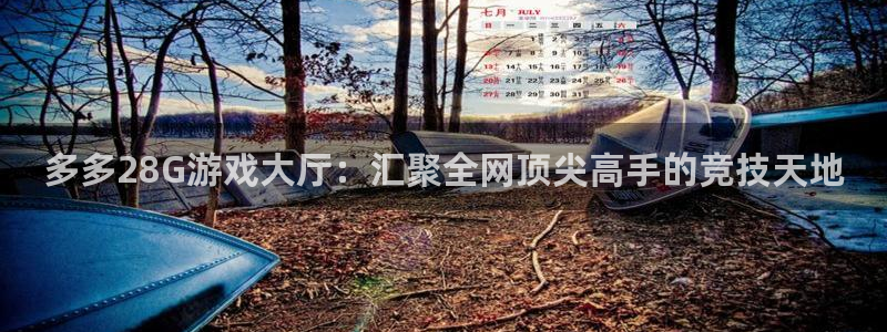 大满贯体育2：多多28G游戏大厅：汇聚全网顶尖高手的竞技天地