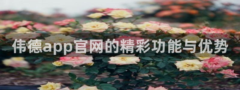 大满贯2体育登录入口：伟德app官网的精彩功能与优势